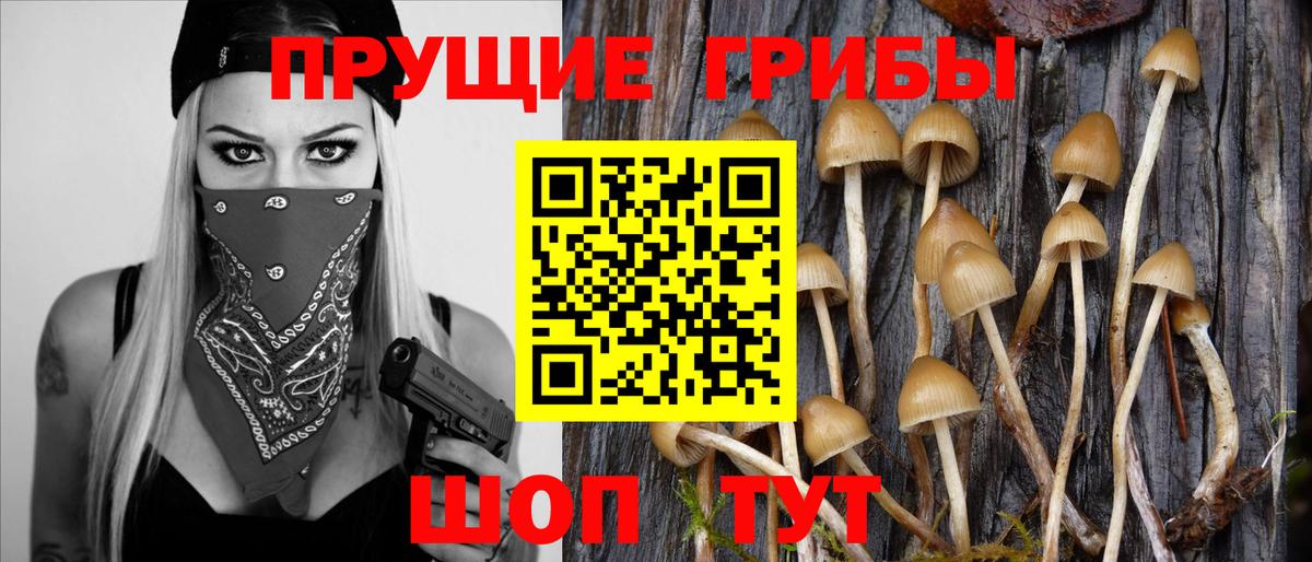 Галлюциногенные грибы Cubensis  купить наркоту  Вход с VPN  Новосибирск  Галлюциногенные грибы ЛСД 