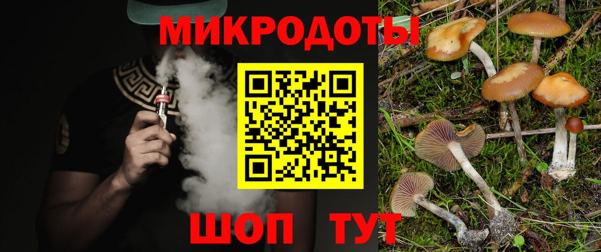 Псилоцибиновые грибы прущие грибы Новосибирск