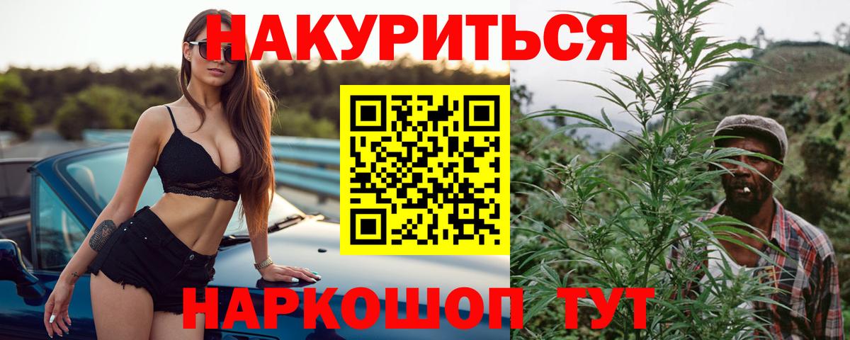Конопля планчик Новосибирск